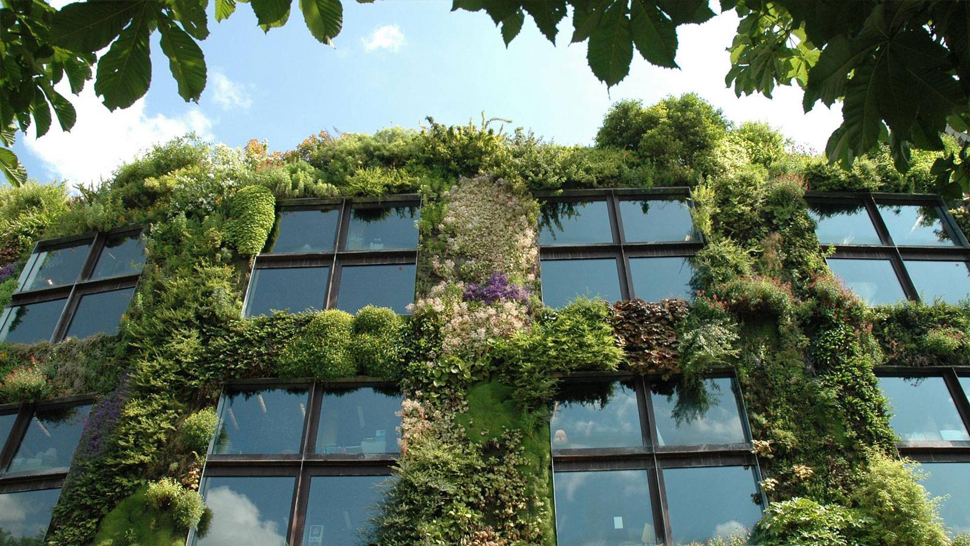Вертикальное озеленение — 135 фото красивых идей и видео описание как правильно сделать вертикальное озеленение