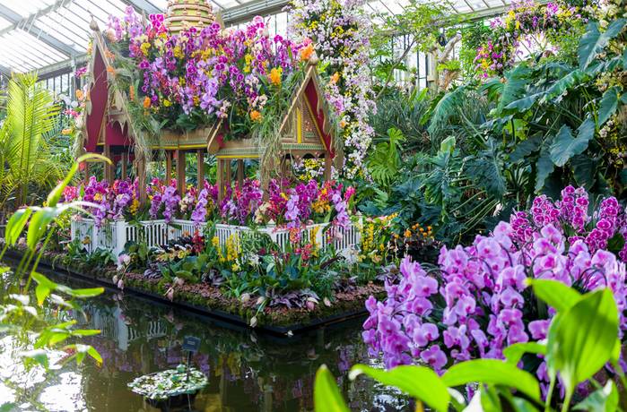 В лондоне открывается фестиваль орхидей | англия