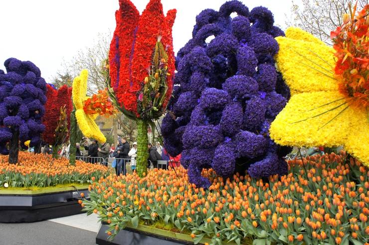 Парк цветов в голландии - кекенхоф: лучшее место для встречи весны