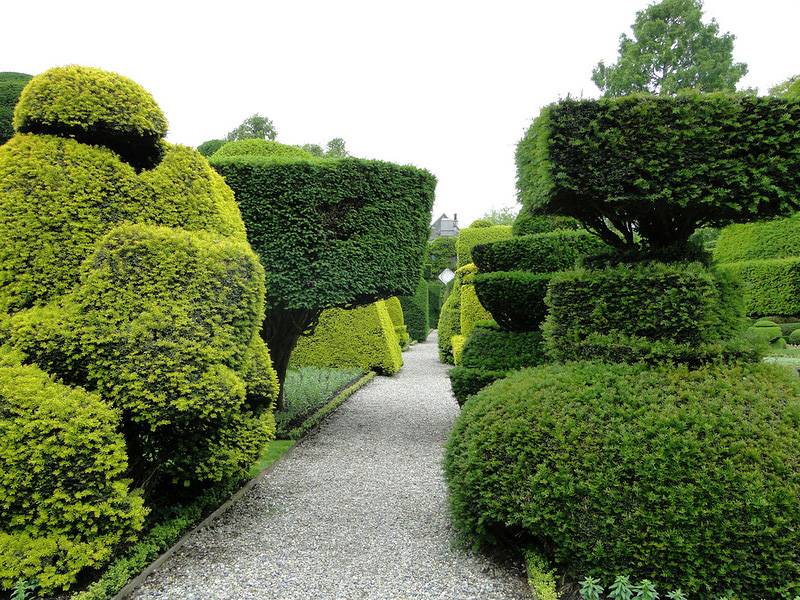Сад левенс холл – самый красивый и самый ароматный сад в мире, англия - политика как она есть - 31 января - 43866164910 - медиаплатформа миртесен