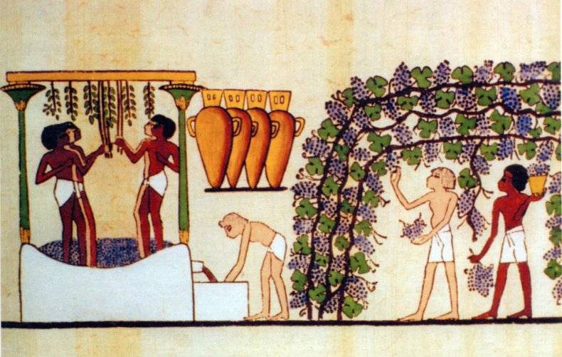 Гипнос, морфей и танатос. история опиума от древнего египта до колониальных войн