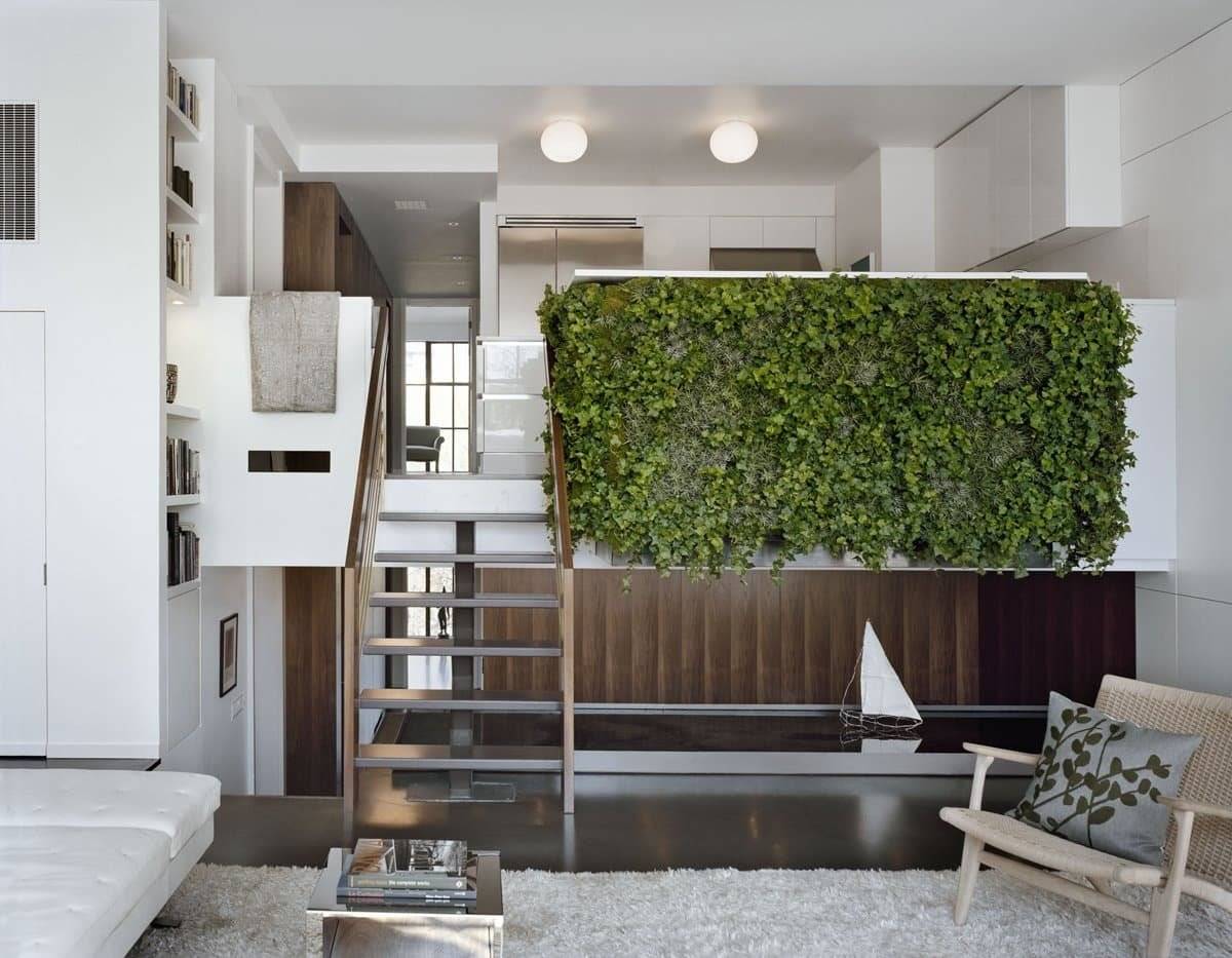 Эко-дизайн и озеленение помещений в доме: польза, виды и топ 7 лучших растений для дома и офиса- обзор +видео