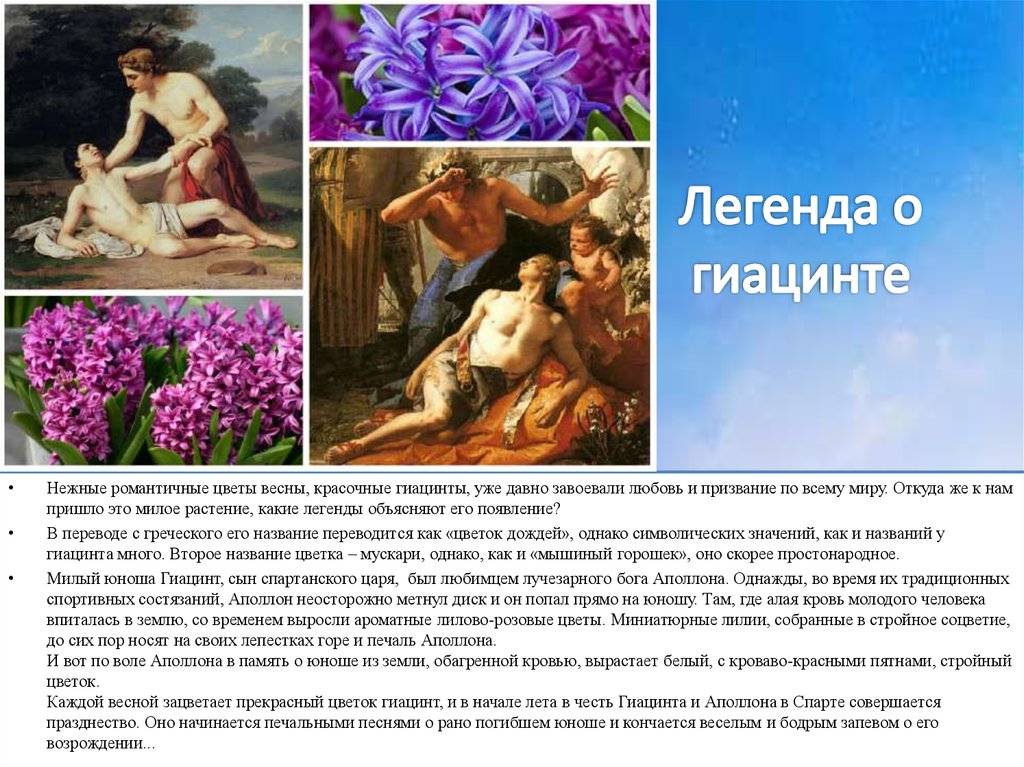Романтичные легенды о цветах и любви | flowery-blog