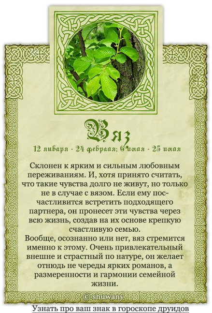 Гороскоп друидов: природные покровители по дате рождения
