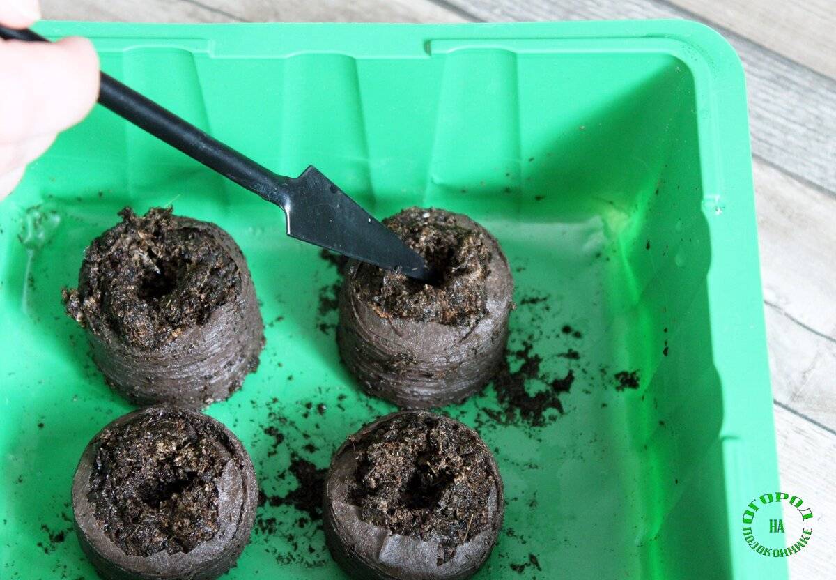 Торфяные таблетки для рассады: как пользоваться, инструкция по посадке семян - почва.нет