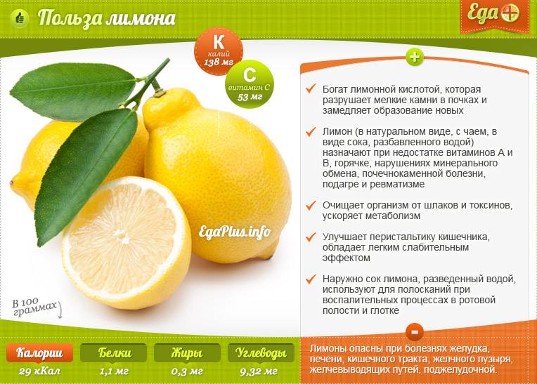 Лимон selo.guru — интернет портал о сельском хозяйстве