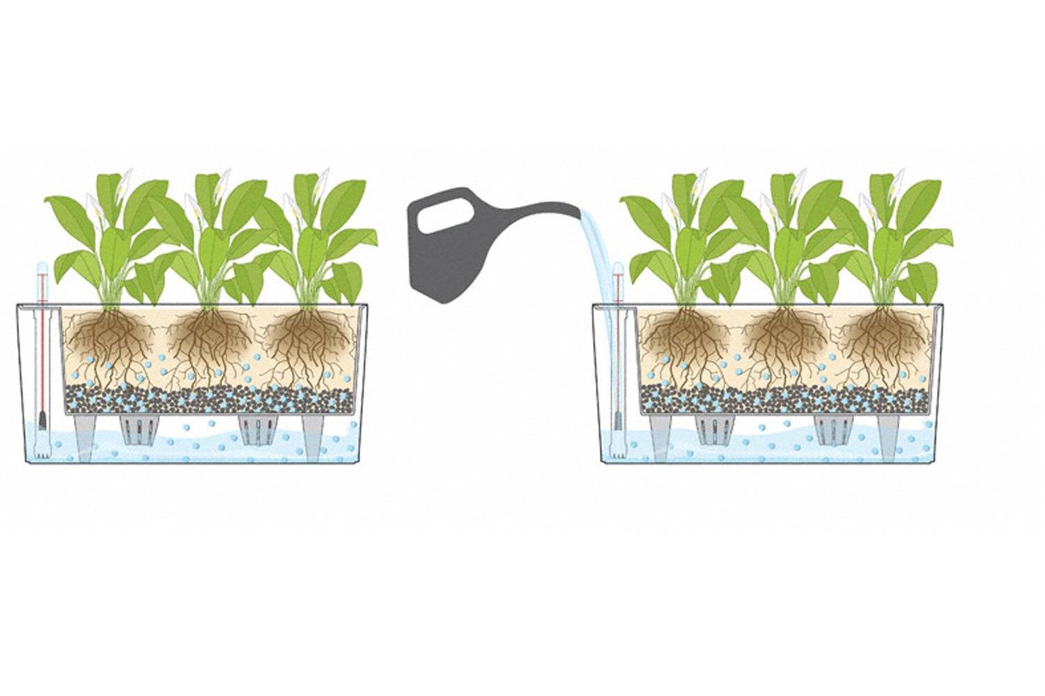 Дренажный слой для комнатных растений и рассады: зачем он нужен и как его сделать